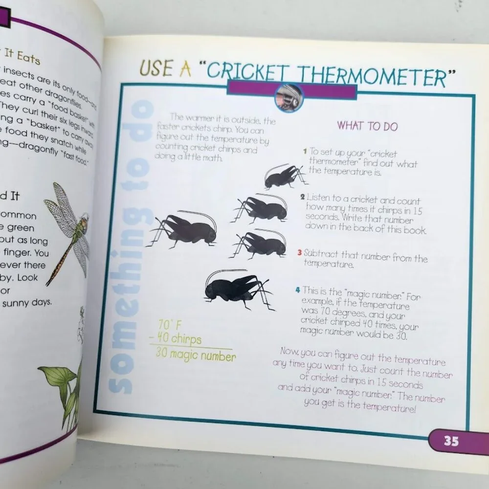 More Fun With Nature Take Along Guides Field Guide Hardcover Book Activity Journ